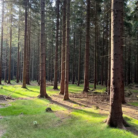 Hotel Amantis Vital Sport Desna (Liberec)